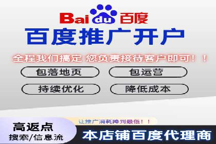 揭秘百度竞价排名：实战案例解析